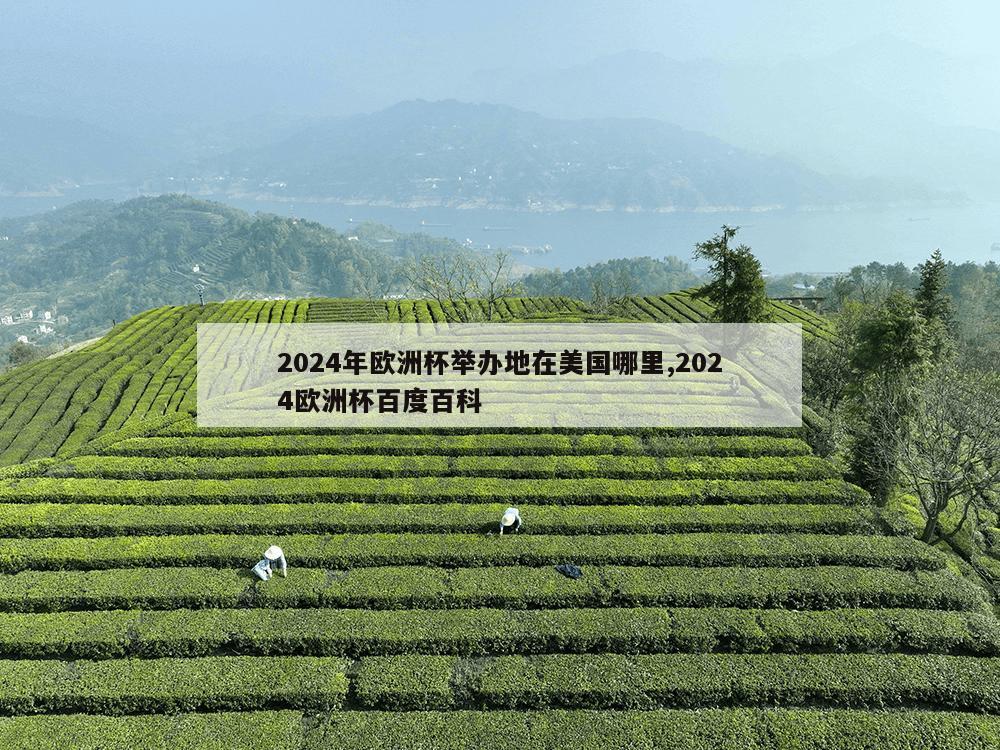 2024年欧洲杯举办地在美国哪里,2024欧洲杯百度百科