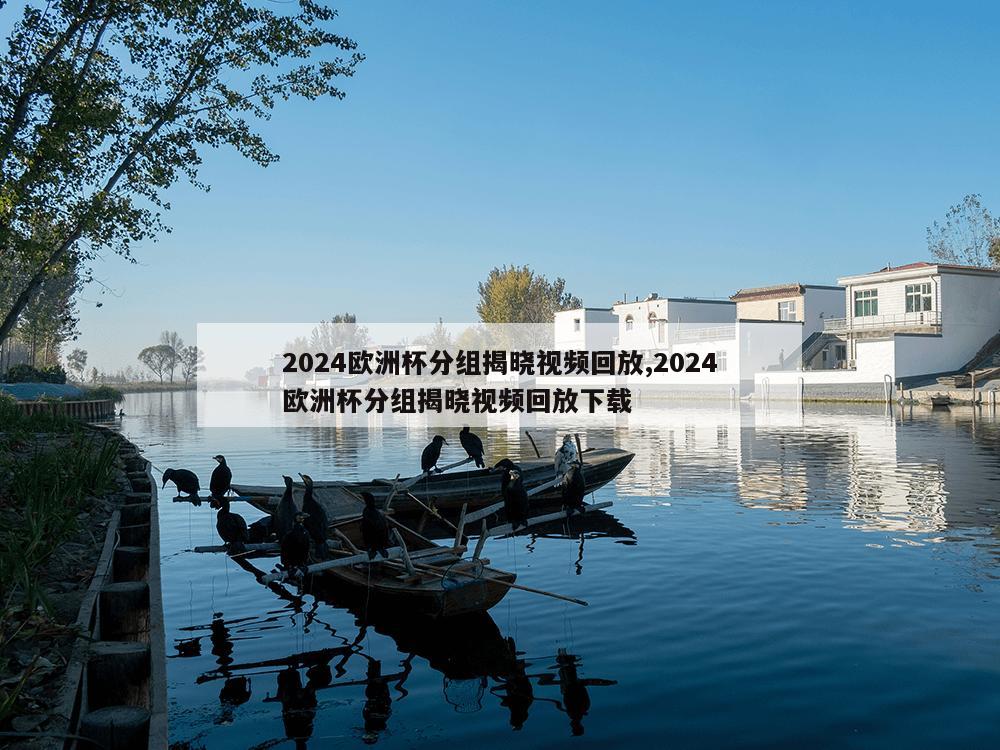 2024欧洲杯分组揭晓视频回放,2024欧洲杯分组揭晓视频回放下载