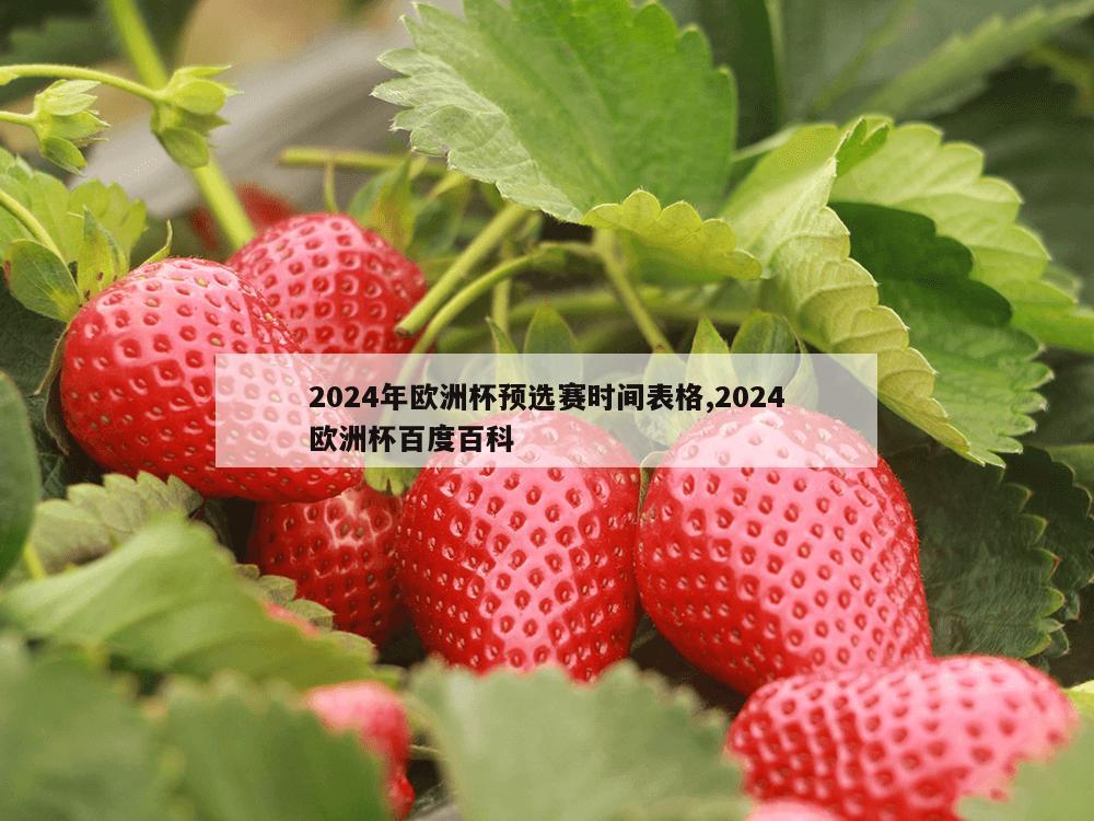 2024年欧洲杯预选赛时间表格,2024欧洲杯百度百科