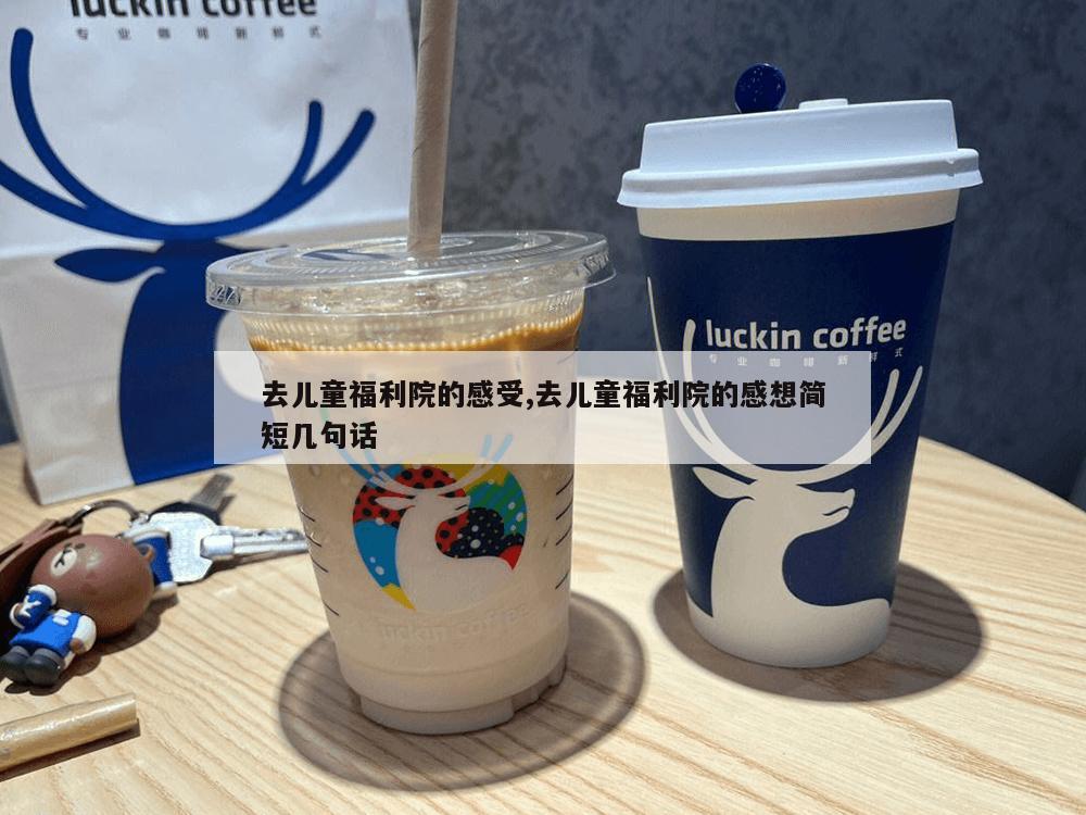 去儿童福利院的感受,去儿童福利院的感想简短几句话