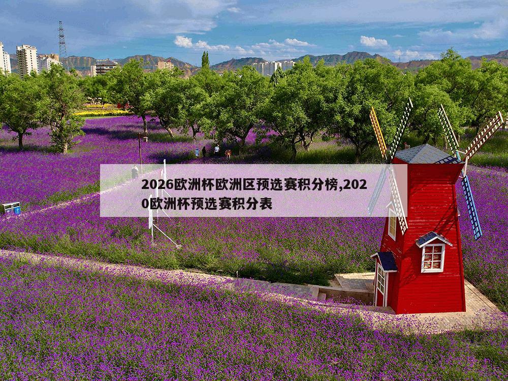 2026欧洲杯欧洲区预选赛积分榜,2020欧洲杯预选赛积分表