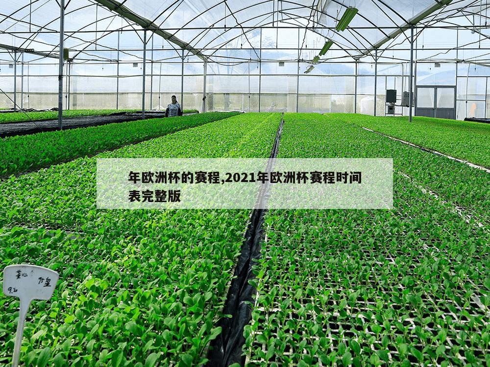 年欧洲杯的赛程,2021年欧洲杯赛程时间表完整版