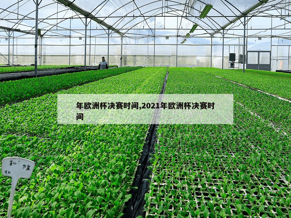 年欧洲杯决赛时间,2021年欧洲杯决赛时间