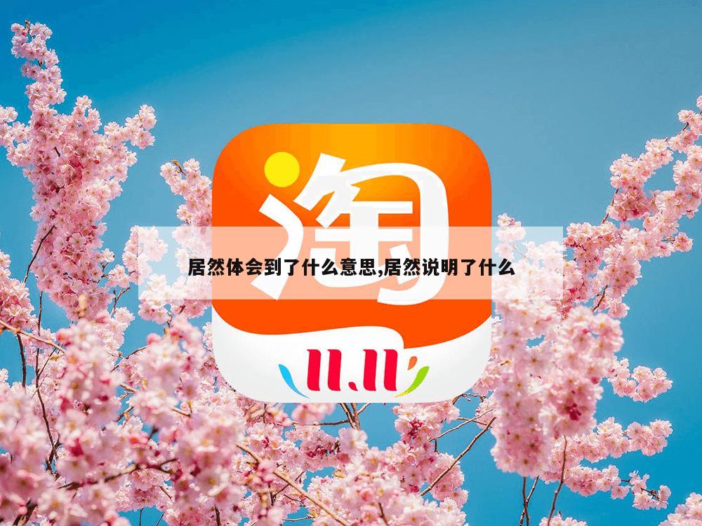 居然体会到了什么意思,居然说明了什么