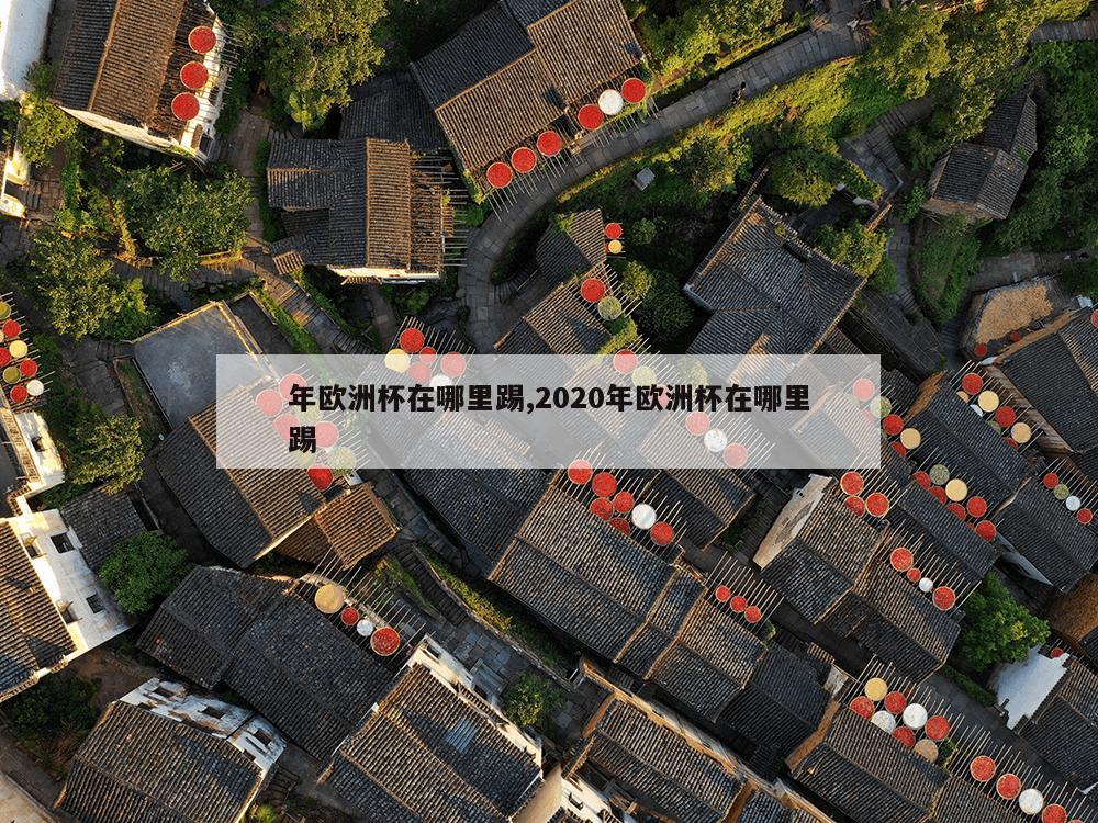 年欧洲杯在哪里踢,2020年欧洲杯在哪里踢