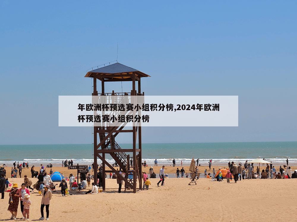 年欧洲杯预选赛小组积分榜,2024年欧洲杯预选赛小组积分榜