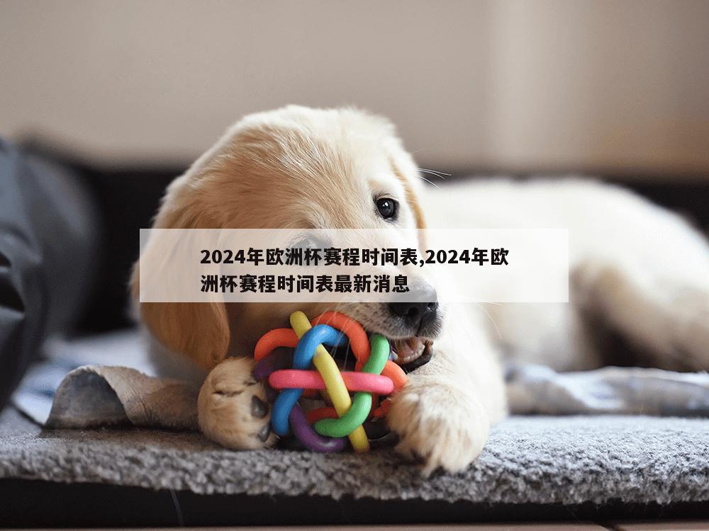 2024年欧洲杯赛程时间表,2024年欧洲杯赛程时间表最新消息