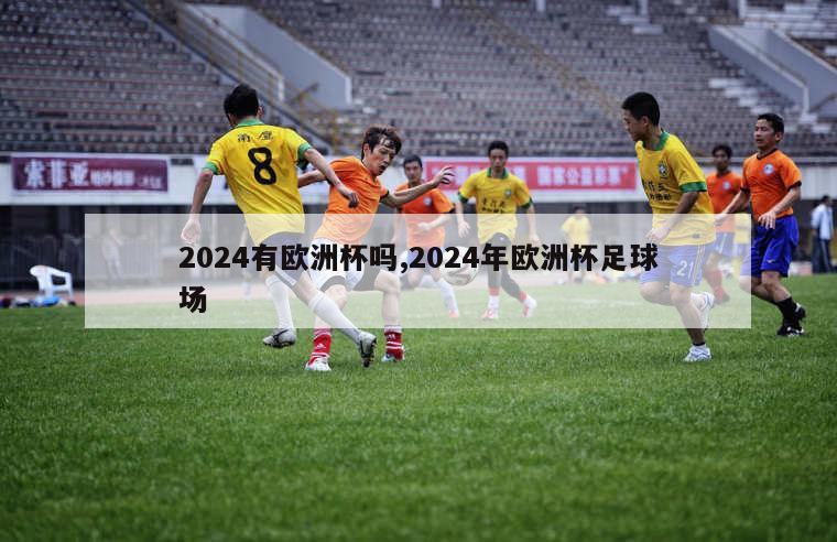 2024有欧洲杯吗,2024年欧洲杯足球场