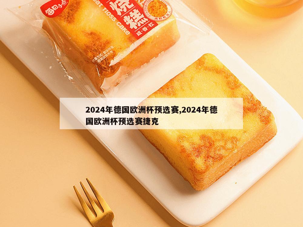 2024年德国欧洲杯预选赛,2024年德国欧洲杯预选赛捷克