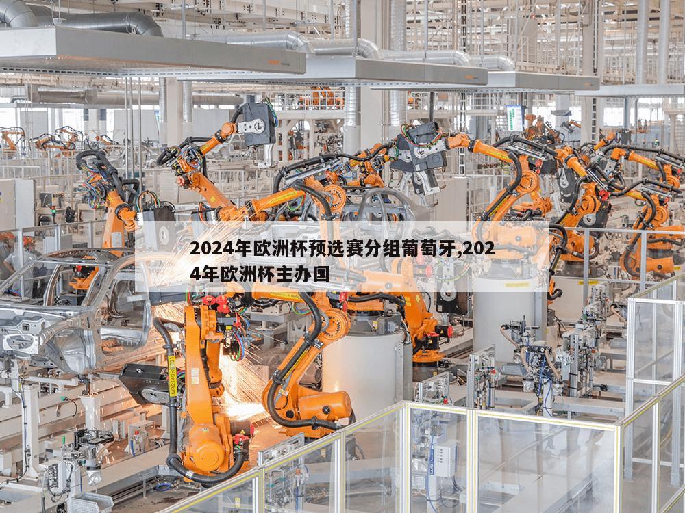 2024年欧洲杯预选赛分组葡萄牙,2024年欧洲杯主办国